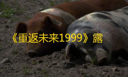 三角洲科技辅助发卡网《重返未来1999》露西飞渡往日怎么玩