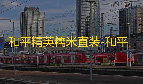 暗区突围辅助购买网站和平精英糯米直装-和平无后座自瞄强化直装版